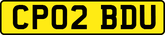 CP02BDU