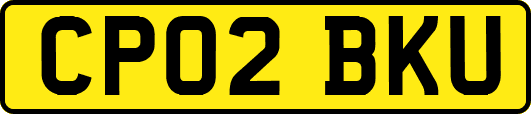 CP02BKU