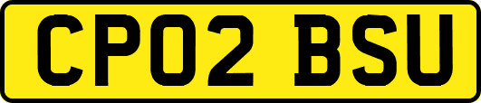 CP02BSU