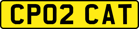 CP02CAT