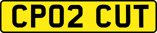 CP02CUT
