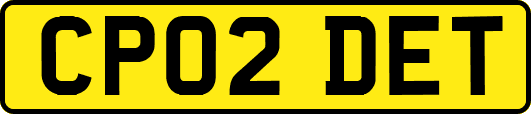 CP02DET