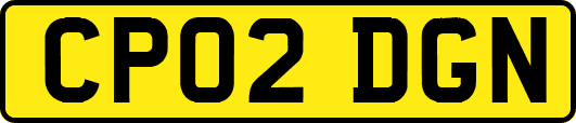 CP02DGN