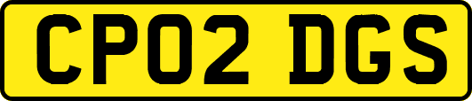 CP02DGS