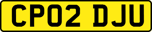 CP02DJU