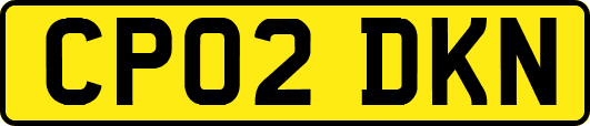 CP02DKN