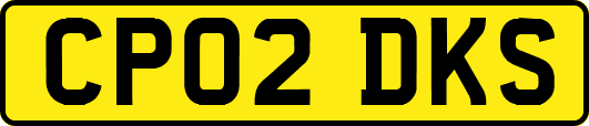 CP02DKS
