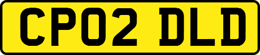 CP02DLD