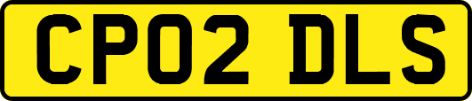 CP02DLS
