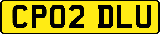 CP02DLU