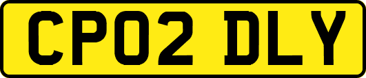 CP02DLY