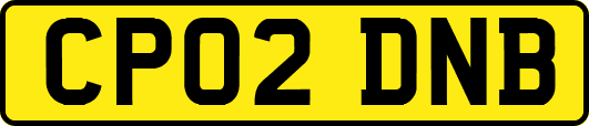 CP02DNB