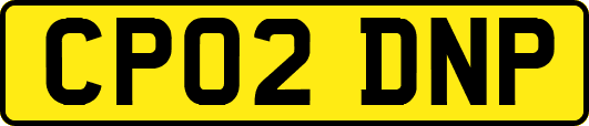 CP02DNP