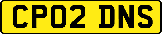 CP02DNS