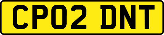 CP02DNT