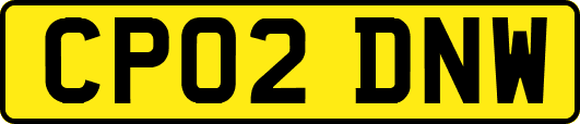 CP02DNW