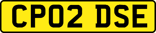 CP02DSE