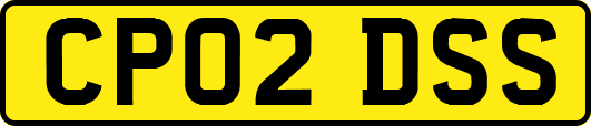 CP02DSS