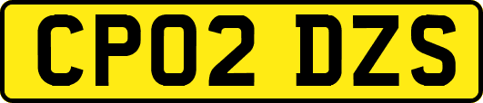 CP02DZS