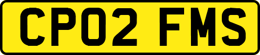 CP02FMS