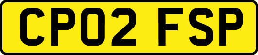CP02FSP