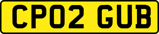 CP02GUB