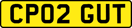 CP02GUT