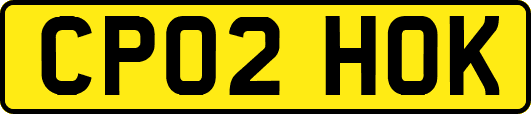 CP02HOK