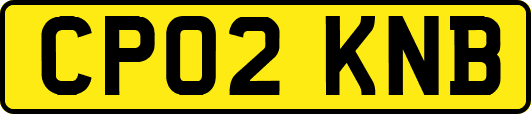 CP02KNB