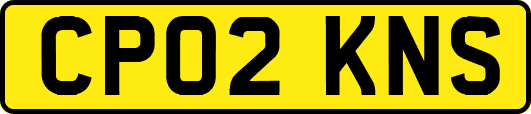 CP02KNS