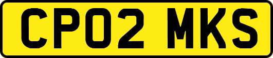 CP02MKS