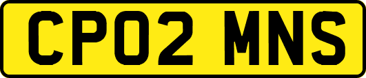 CP02MNS
