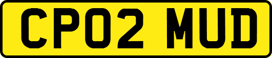 CP02MUD