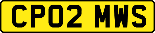 CP02MWS