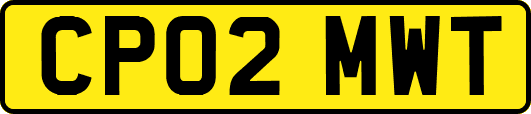 CP02MWT