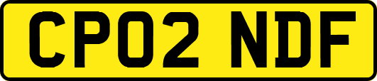 CP02NDF