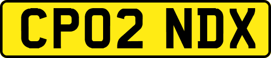 CP02NDX
