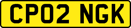 CP02NGK