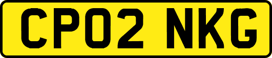 CP02NKG
