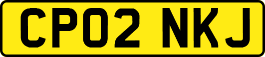 CP02NKJ