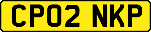 CP02NKP