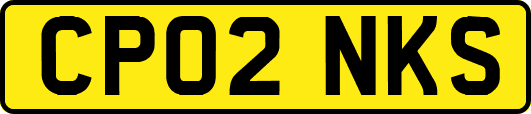 CP02NKS