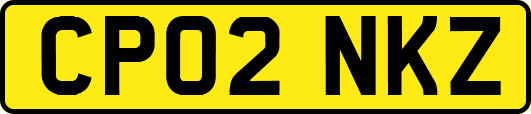 CP02NKZ