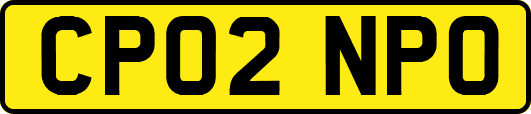CP02NPO