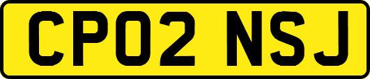 CP02NSJ