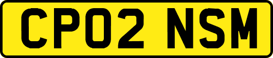 CP02NSM