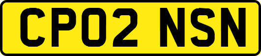 CP02NSN