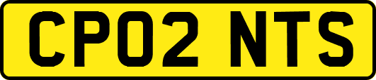 CP02NTS