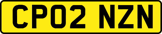CP02NZN