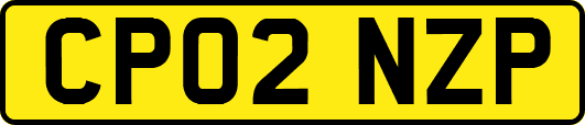 CP02NZP